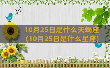 10月25日是什么天蝎座(10月25日是什么星座)