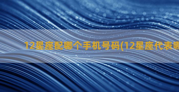 12星座配哪个手机号码(12星座代表哪个死神)