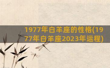 1977年白羊座的性格(1977年白羊座2023年运程)