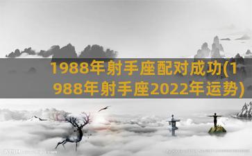 1988年射手座配对成功(1988年射手座2022年运势)