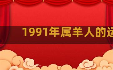 1991年属羊人的运势