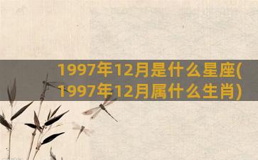 1997年12月是什么星座(1997年12月属什么生肖)