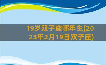 19岁双子座哪年生(2023年2月19日双子座)