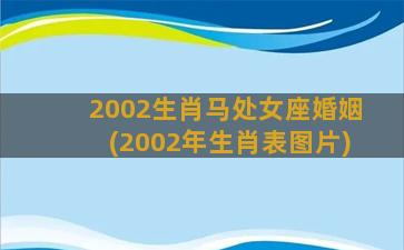 2002生肖马处女座婚姻(2002年生肖表图片)