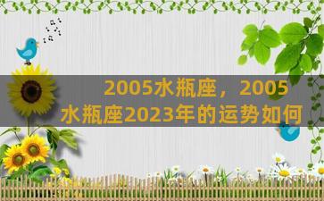 2005水瓶座，2005水瓶座2023年的运势如何