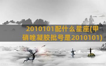 2010101配什么星座(甲硝唑凝胶批号是2010101)