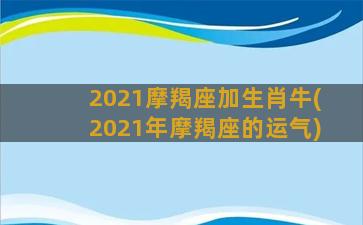 2021摩羯座加生肖牛(2021年摩羯座的运气)