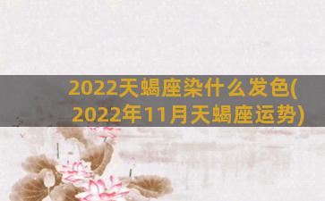 2022天蝎座染什么发色(2022年11月天蝎座运势)