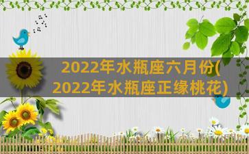 2022年水瓶座六月份(2022年水瓶座正缘桃花)