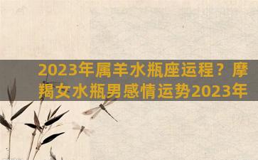 2023年属羊水瓶座运程？摩羯女水瓶男感情运势2023年