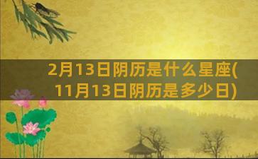 2月13日阴历是什么星座(11月13日阴历是多少日)