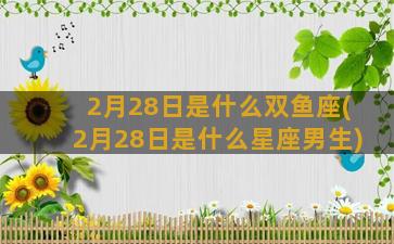 2月28日是什么双鱼座(2月28日是什么星座男生)