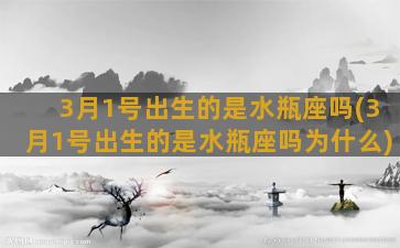 3月1号出生的是水瓶座吗(3月1号出生的是水瓶座吗为什么)