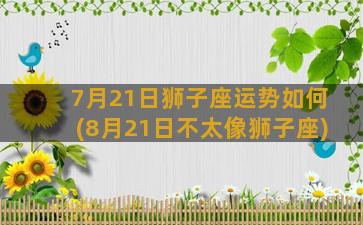 7月21日狮子座运势如何(8月21日不太像狮子座)