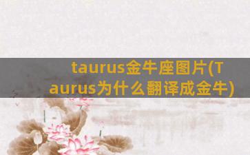 taurus金牛座图片(Taurus为什么翻译成金牛)