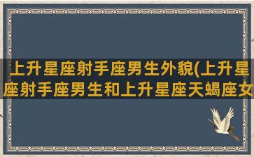 上升星座射手座男生外貌(上升星座射手座男生和上升星座天蝎座女生配对)