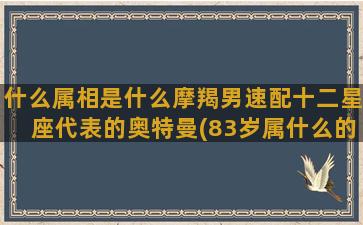 什么属相是什么摩羯男速配十二星座代表的奥特曼(83岁属什么的属相)