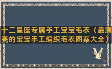 十二星座专属手工宝宝毛衣（最漂亮的宝宝手工编织毛衣图案大全）