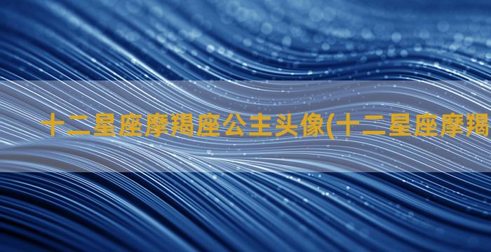 十二星座摩羯座公主头像(十二星座摩羯座公主画)