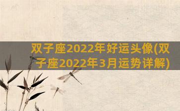 双子座2022年好运头像(双子座2022年3月运势详解)