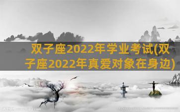 双子座2022年学业考试(双子座2022年真爱对象在身边)