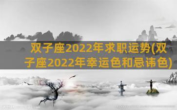 双子座2022年求职运势(双子座2022年幸运色和忌讳色)