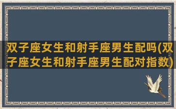 双子座女生和射手座男生配吗(双子座女生和射手座男生配对指数)