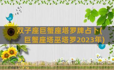 双子座巨蟹座塔罗牌占卜(巨蟹座塔巫塔罗2023年)