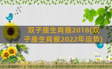 双子座生肖猴2018(双子座生肖猴2022年运势)