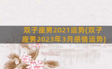 双子座男2021运势(双子座男2023年3月感情运势)