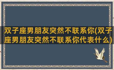 双子座男朋友突然不联系你(双子座男朋友突然不联系你代表什么)