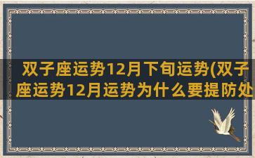 双子座运势12月下旬运势(双子座运势12月运势为什么要提防处女座)