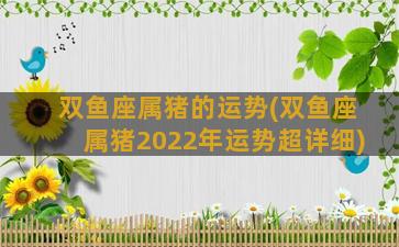 双鱼座属猪的运势(双鱼座属猪2022年运势超详细)