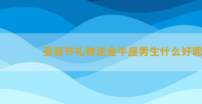 圣诞节礼物送金牛座男生什么好呢