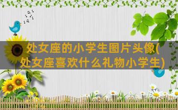 处女座的小学生图片头像(处女座喜欢什么礼物小学生)