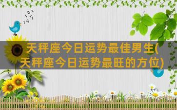 天秤座今日运势最佳男生(天秤座今日运势最旺的方位)