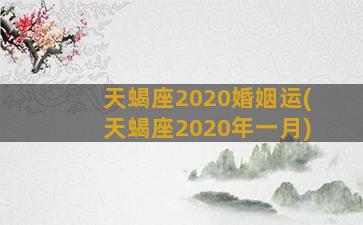 天蝎座2020婚姻运(天蝎座2020年一月)