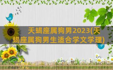 天蝎座属狗男2023(天蝎座属狗男生适合学文学理)