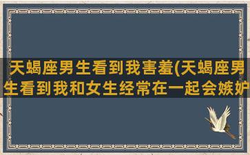 天蝎座男生看到我害羞(天蝎座男生看到我和女生经常在一起会嫉妒吗)