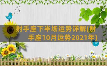 射手座下半场运势详解(射手座10月运势2021年)