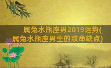 属兔水瓶座男2019运势(属兔水瓶座男生的致命缺点)