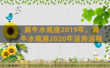 属牛水瓶座2019年，属牛水瓶座2020年运势运程