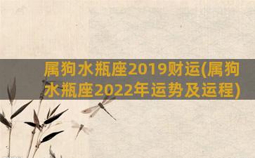 属狗水瓶座2019财运(属狗水瓶座2022年运势及运程)