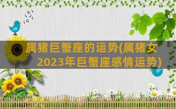 属猪巨蟹座的运势(属猪女2023年巨蟹座感情运势)