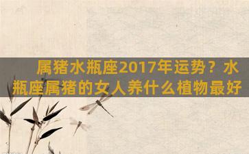 属猪水瓶座2017年运势？水瓶座属猪的女人养什么植物最好