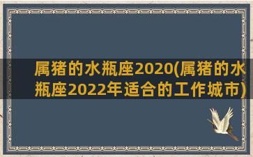 属猪的水瓶座2020(属猪的水瓶座2022年适合的工作城市)