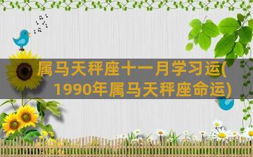 属马天秤座十一月学习运(1990年属马天秤座命运)