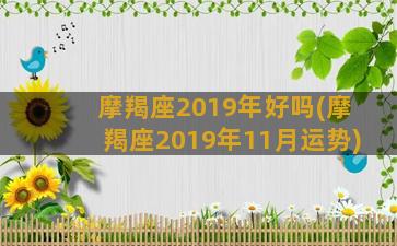 摩羯座2019年好吗(摩羯座2019年11月运势)