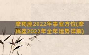 摩羯座2022年事业方位(摩羯座2022年全年运势详解)