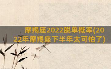 摩羯座2022脱单概率(2022年摩羯座下半年太可怕了)